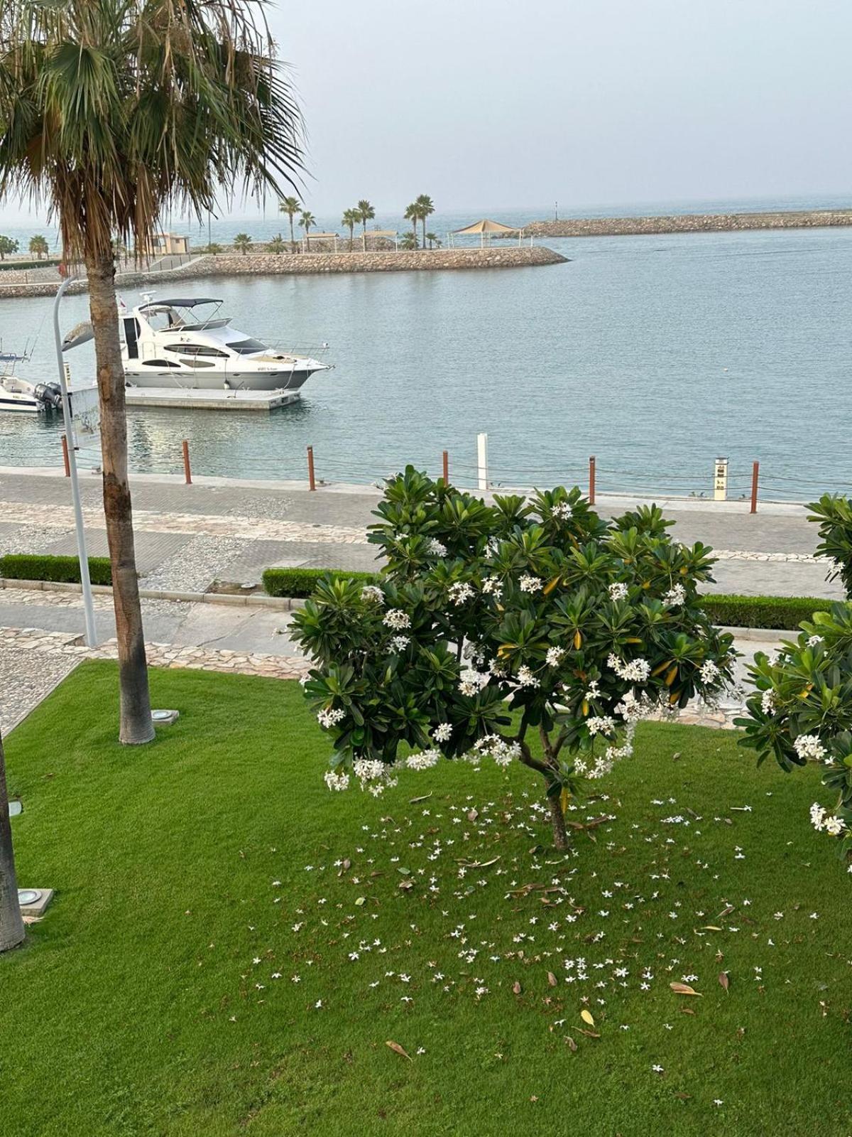 Magical Marina View Alsifah Oman As Sifah